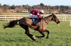 Injury derails Last Instalment's Cheltenham challenge