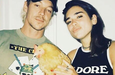 Diplo is grieving after the murder of his pet chicken Michelle