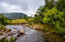 In the 1980s over 500 Irish river sites were of pristine quality, now there are just 21