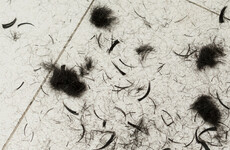 Litter, cigarette butts and cut hair observed on the floor of adult psychiatric unit