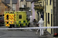 Man who died after Wicklow assault named