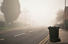 QUIZ: Are you really putting the right things in your recycle bin?