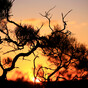 Part of a 'long-term trend', Australia had its hottest winter on record