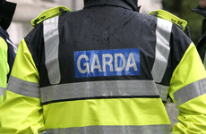 Man dies after falling into canal in Dublin