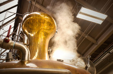 New course hoping to make most of brewing and distillery 'renaissance'