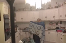 A bat flew into a family home in Kerry and the hilarious chaos that ensued was caught on film