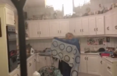 Rogue bat flies into Kerry home, causes ructions, gets caught on video