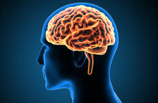 These seven steps will keep your brain healthy from childhood to old age, say researchers