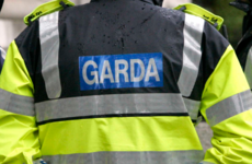 Fresh calls for Garda Commissioner to step down after latest revelations about false breath tests