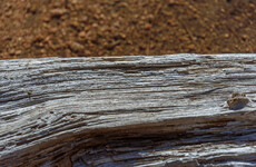 Gardening: Autumn is coming - grab some salvaged timber and get to work on your 'raised beds'
