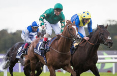 Decorated Knight causes major upset to take Champion stakes at Leopardstown