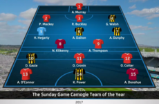 Do you agree with The Sunday Game's camogie Team of the Year?