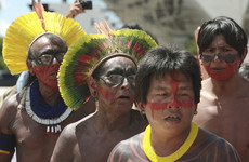 Brazil investigates alleged massacre of Amazonian tribe by gold prospectors