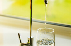 Poll: Do you drink water straight from the tap?