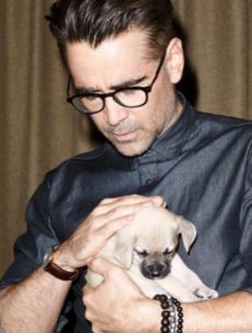 Celebrities including Colin Farrell and Barry Keoghan met a load of adorable puppies at TIFF
