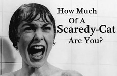 How Much Of A Scaredy Cat Are You?