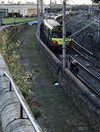 No normal Dart service until tomorrow morning after 'low speed derailment' at Dun Laoghaire