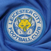 Leicester fan who shouted homophobic abuse at football match fined