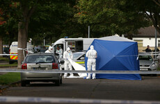 Two guns found by gardaí investigating west Dublin gangland killing