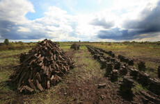 'A chance to discover 10,000 years of history': New project to restore Ireland's bogland
