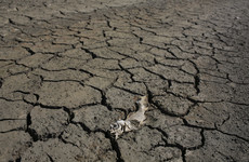 Climate change blamed for Portugal facing its worst drought in more than 20 years