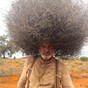 Sam Neill's tweets about his farm are a thing of unexpected joy