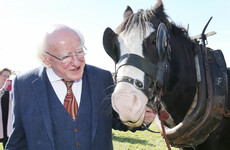 President Higgins is not 'ruling anything out' when it comes to running for a second term