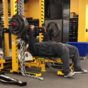 James Harrison is stronger than you and he's not afraid to show it