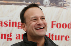Fine Gael has jumped in the latest opinion poll to its highest level since the election