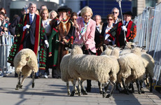 Mary Berry was spotted leading sheep across London Bridge and people were confused