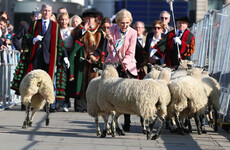 Mary Berry was spotted leading sheep across London Bridge and people were confused