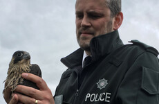 PSNI successfully use drones to keep watch over peregrine crime hot-spots