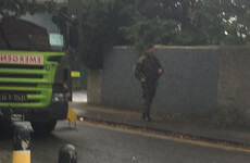 Army bomb disposal team dealing with incident in Dublin's Herbert Park
