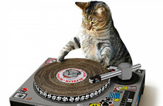 8 of the most bizarre things you can buy online right now