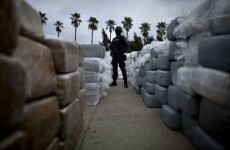 Huge marijuana haul in Mexico