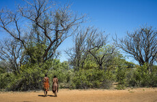 Wildlife groups accused of abuses against tribes 'in the name of conservation'