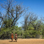 Wildlife groups accused of abuses against tribes 'in the name of conservation'