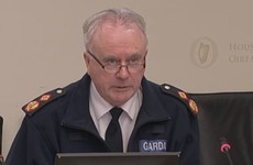 Acting Garda Commissioner says he has 'no authority' to release report into reopening of Stepaside Garda Station