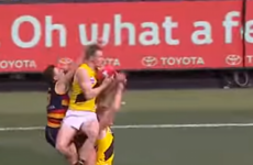 Individual and team history made as Richmond bridge 37-year gap to claim AFL title