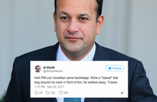 LCD Soundsystem's guitarist Al Doyle may have pissed off Leo Varadkar with a 'Repeal' tote bag last night