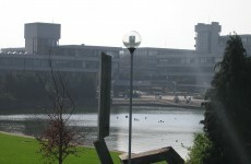 UCD 'spin-out' companies plan more than 50 jobs by end of 2013
