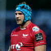 Irish lock Beirne turns down 'very good' contract offer from Scarlets to return home