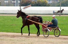 Minister calls for ban on sulky racing on public roads