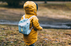 Poll: Are you worried about the Budget's impact on families?
