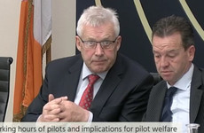 TD stops pilots from giving testimony after they raise problems with aviation regulator