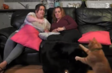 Tracie's cat Bibby was the real star of Gogglebox Ireland last night