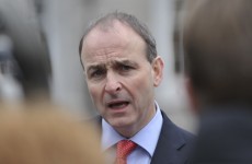 FF's Martin attacks "bare-faced lies" over sale of state assets