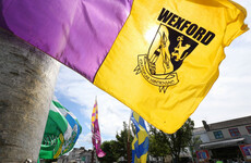 Former Kildare player takes the reins as Wexford's new senior football manager