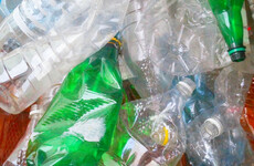 Poll: Should there be a levy on non-recyclable plastics?