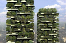 A jungle high above the city streets - living in Milan's elite 'Vertical Forest'